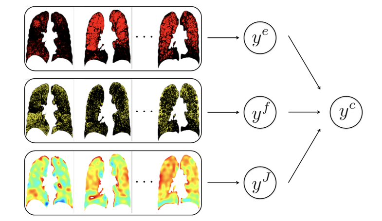 Manifold Learning of COPD